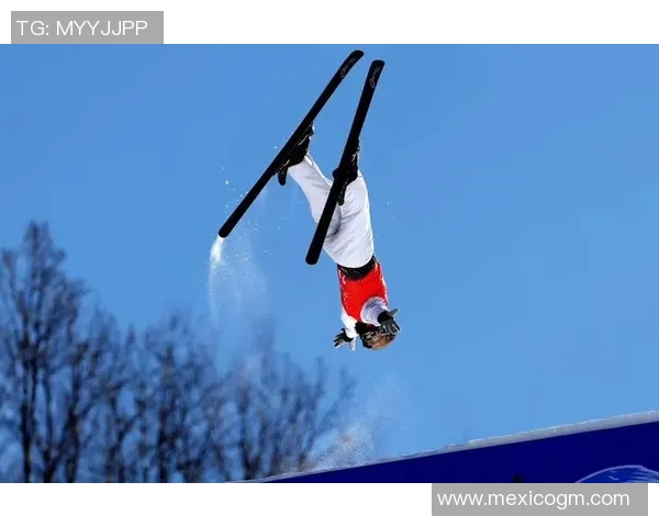 自由式滑雪空中技巧的运动表现与技术分析探讨